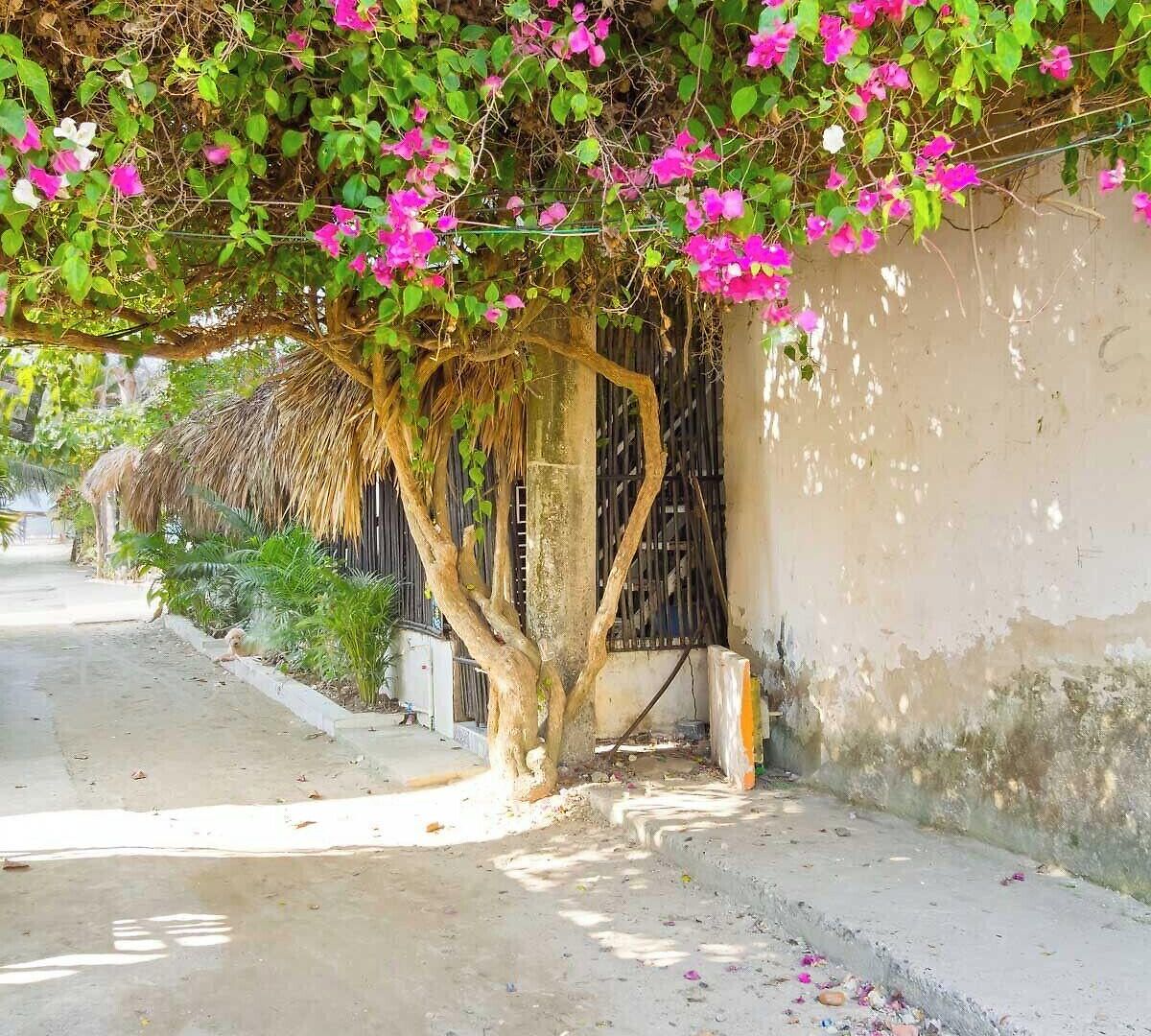 Casa Nurandy