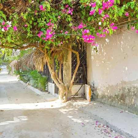 Casa Nurandy